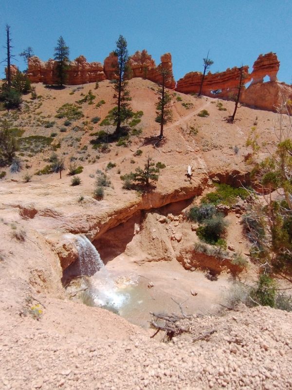 Tropic Ditch Falls. Click for full size. Tropic Ditch Falls image. Click for full size.