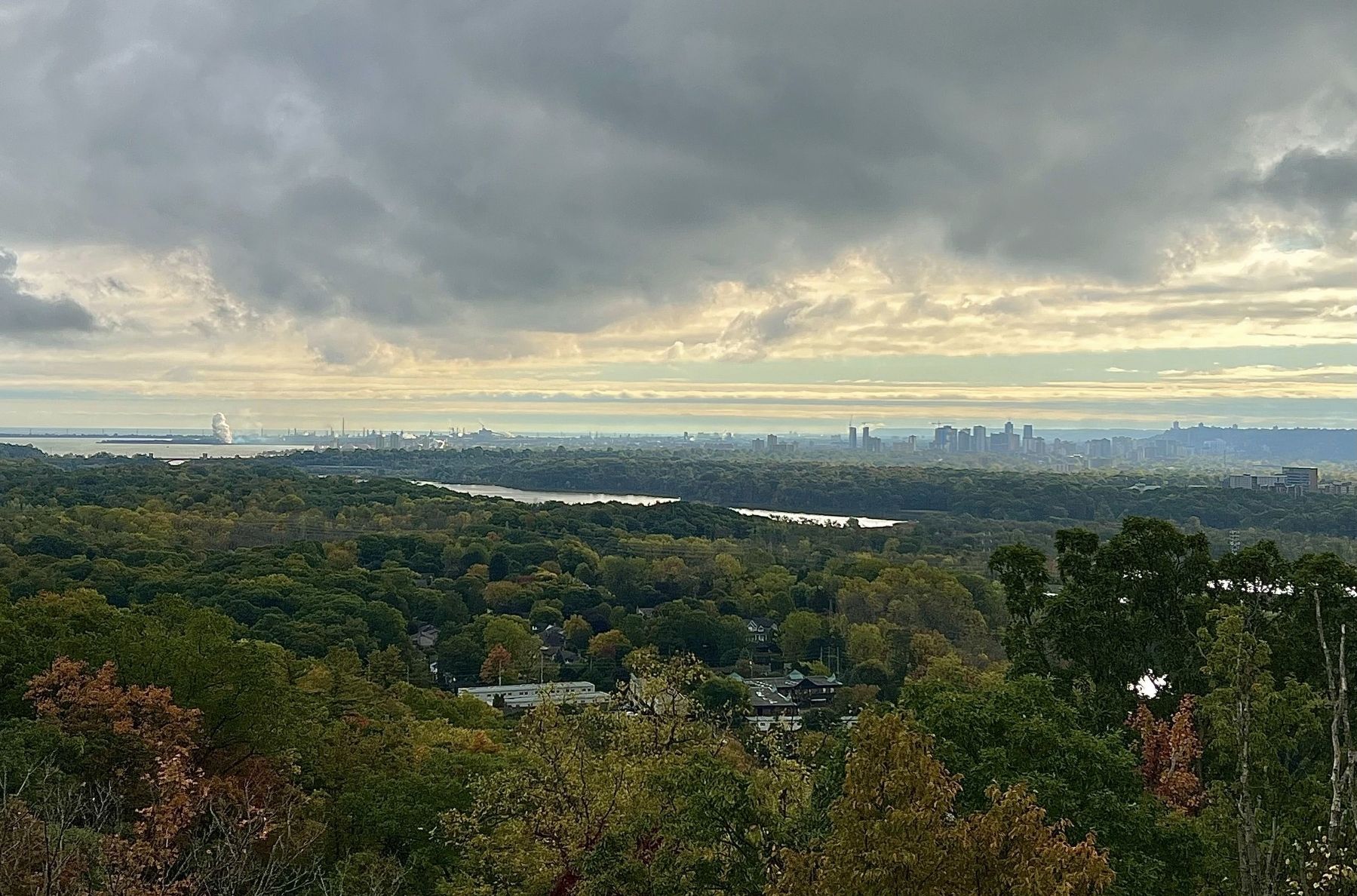 View from Sydenham Lookout, 2025 image. Click for full size.