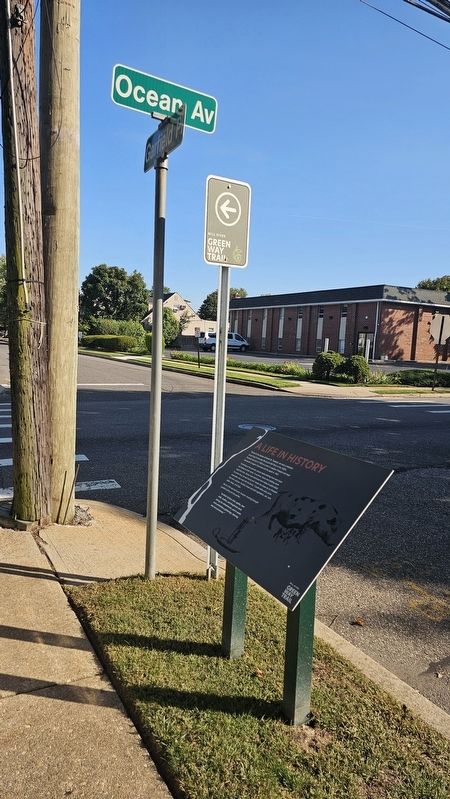 A Life in History Marker image. Click for full size.
