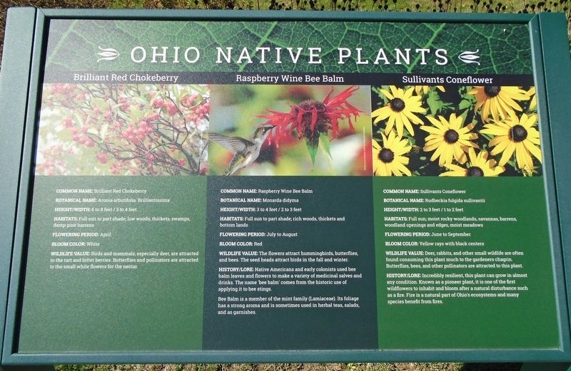 Ohio Native Plants Marker image. Click for full size.