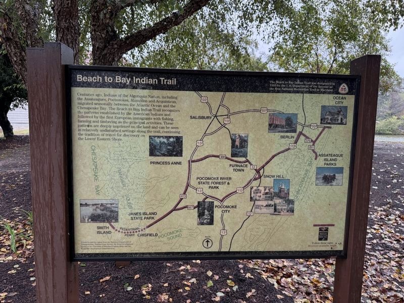 Beach to Bay Indian Trail Marker. Click for full size. Beach to Bay Indian Trail Marker image. Click for full size.