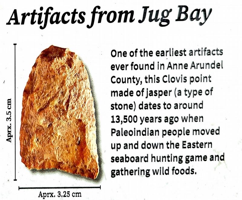 Clovis Point image. Click for full size.