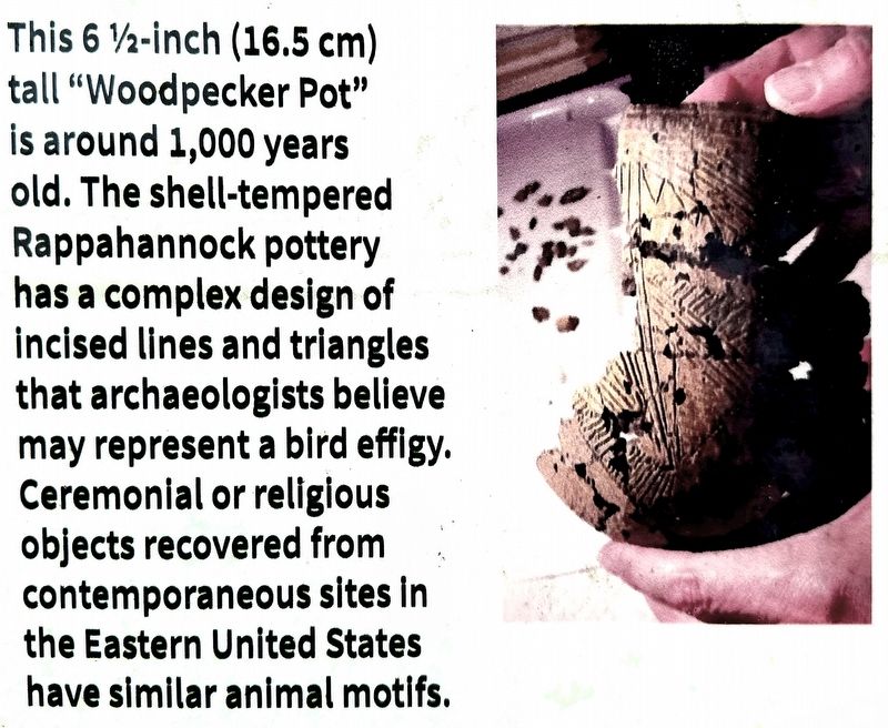 Woodpecker Pot image. Click for full size.