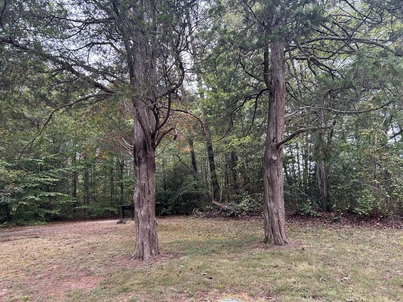 These Cedars Marker. Click for full size. These Cedars Marker image. Click for full size.