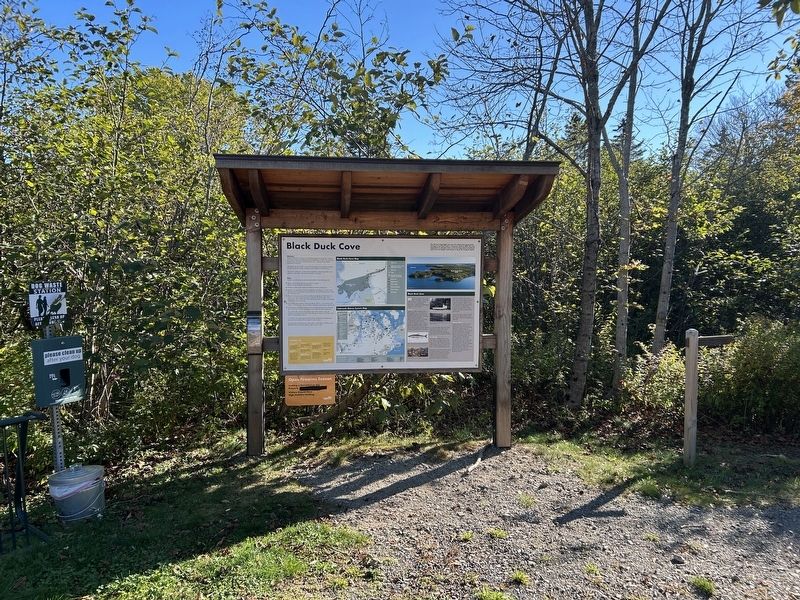 Black Duck Cove Marker image. Click for full size.