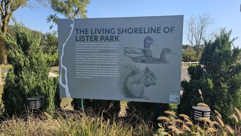 The Living Shoreline of Lister Park Marker image. Click for full size.