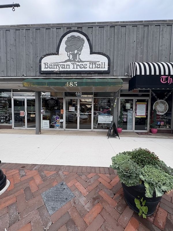 Banyan Tree Mall in Glen Ellyn. Click for full size. Banyan Tree Mall in Glen Ellyn image. Click for full size.