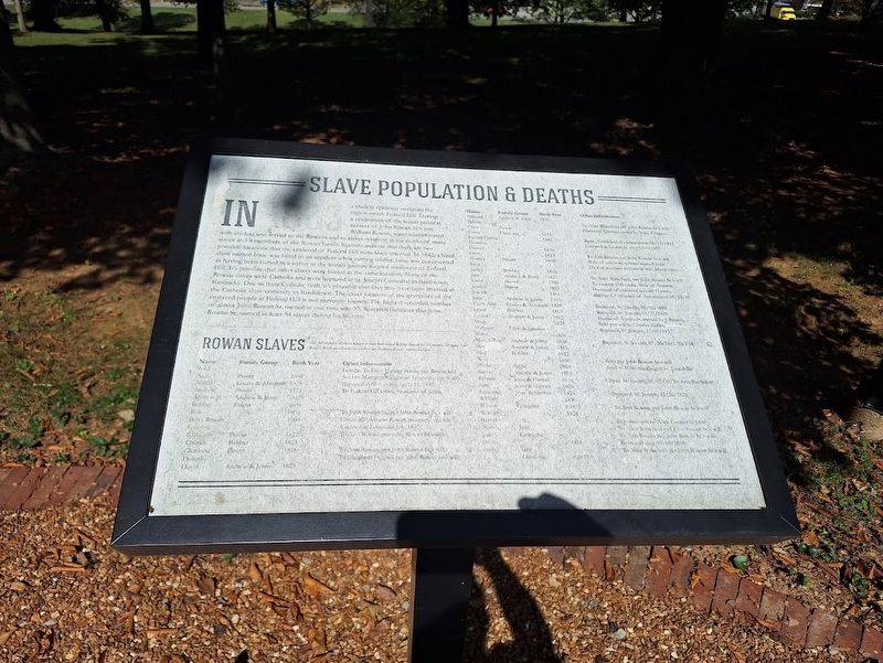 Slave Population & Deaths Marker image. Click for full size.