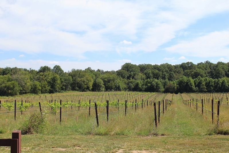 William Andrews Cemetery Site. Click for full size. William Andrews Cemetery Site image. Click for full size.