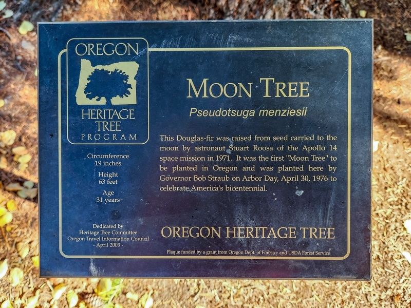 Moon Tree Marker. Click for full size. Moon Tree Marker image. Click for full size.