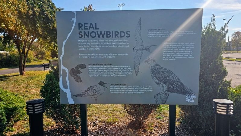 Real Snowbirds Marker. Click for full size. Real Snowbirds Marker image. Click for full size.