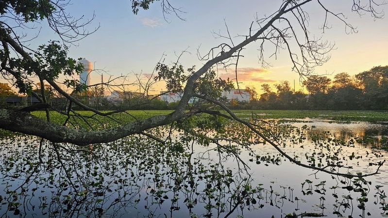 Smith Pond. Click for full size. Smith Pond image. Click for full size.