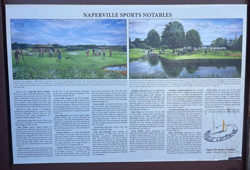 Naperville Sports Notables Marker. Click for full size. Naperville Sports Notables Marker image. Click for full size.