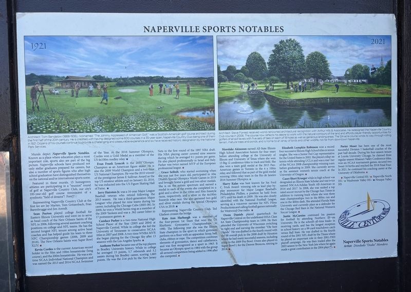 Naperville Sports Notables Marker image. Click for full size.