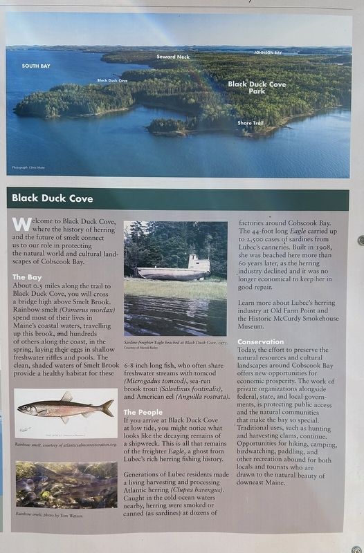 Black Duck Cove Marker Close Up image. Click for full size.