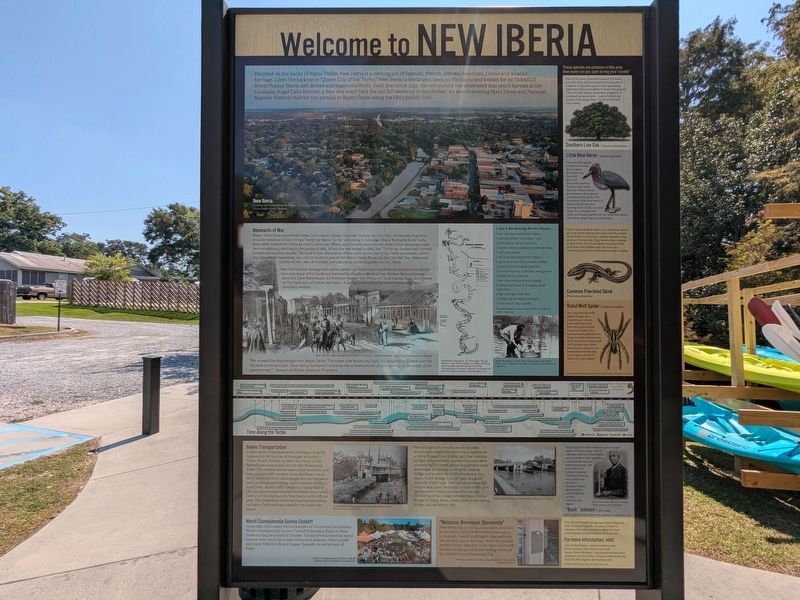 Welcome to New Iberia Marker image. Click for full size.