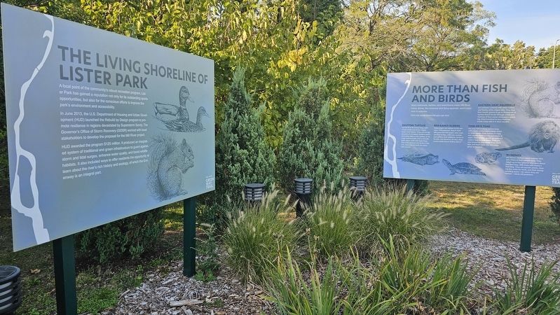 The Living Shoreline of Lister Park Marker image. Click for full size.