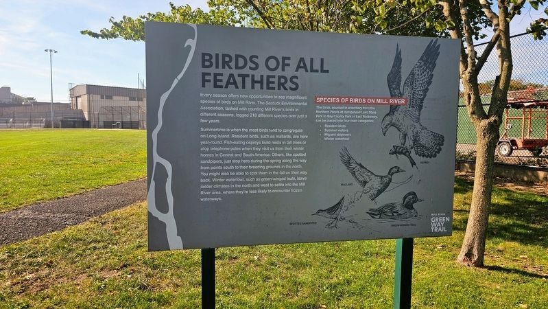 Birds of All Feathers Marker image. Click for full size.