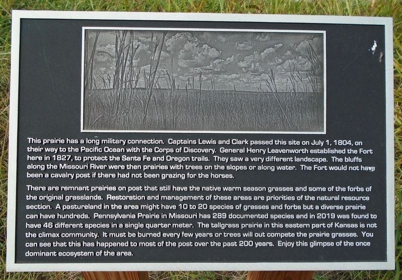 Tallgrass Prairie Remnant Marker image. Click for full size.