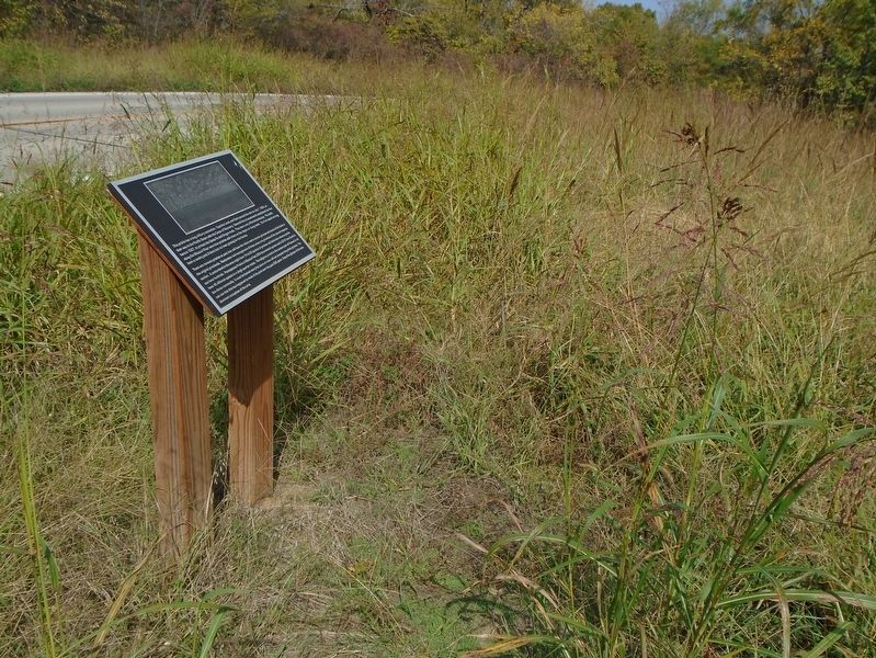 Tallgrass Prairie Remnant and Marker image. Click for full size.