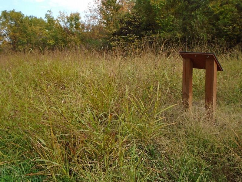 Tallgrass Prairie Remnant and Marker image. Click for full size.