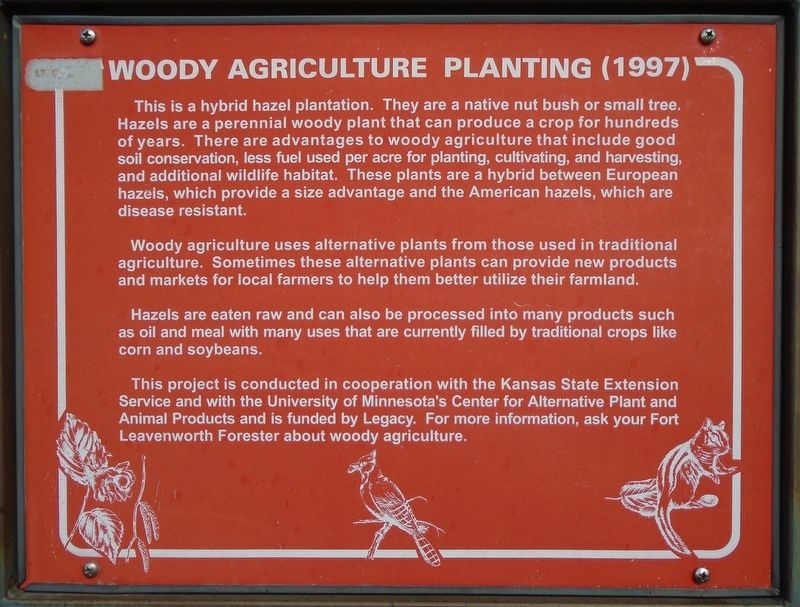 Woody Agriculture Planting (1997) Marker. Click for full size. Woody Agriculture Planting (1997) Marker image. Click for full size.