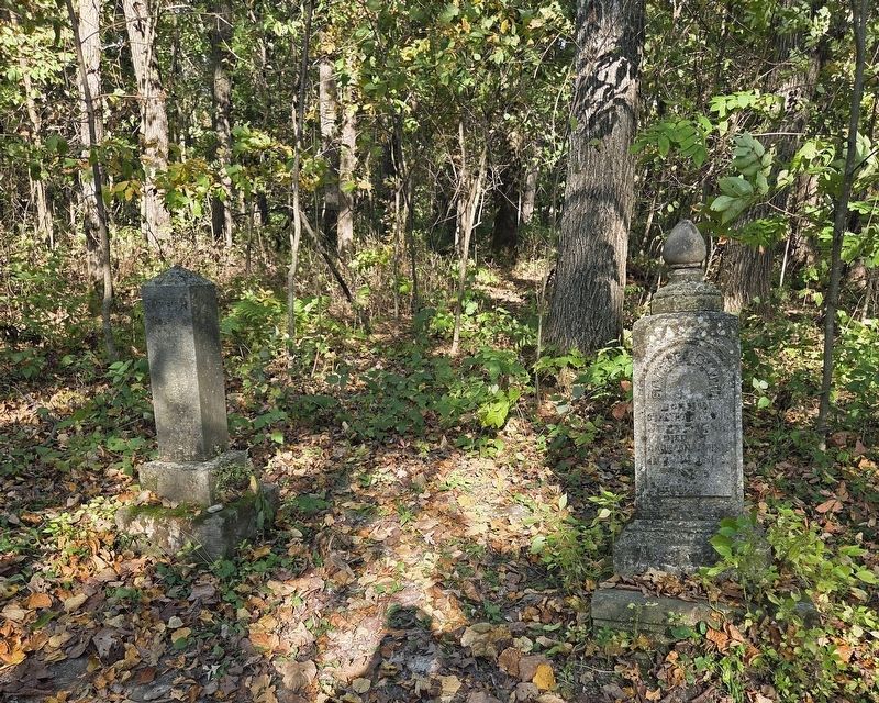 Standing headstones in the Zumbro Hill Cemetery. Click for full size. Standing headstones in the Zumbro Hill Cemetery image. Click for full size.