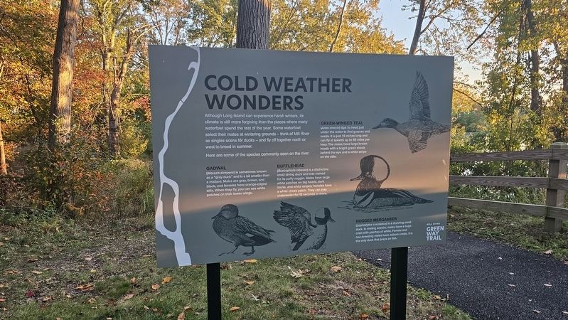 Cold Weather Wonders Marker. Click for full size. Cold Weather Wonders Marker image. Click for full size.