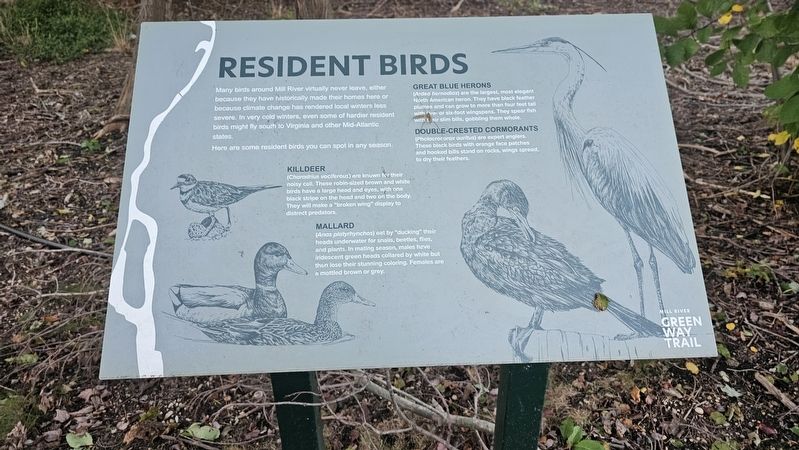 Resident Birds Marker image. Click for full size.