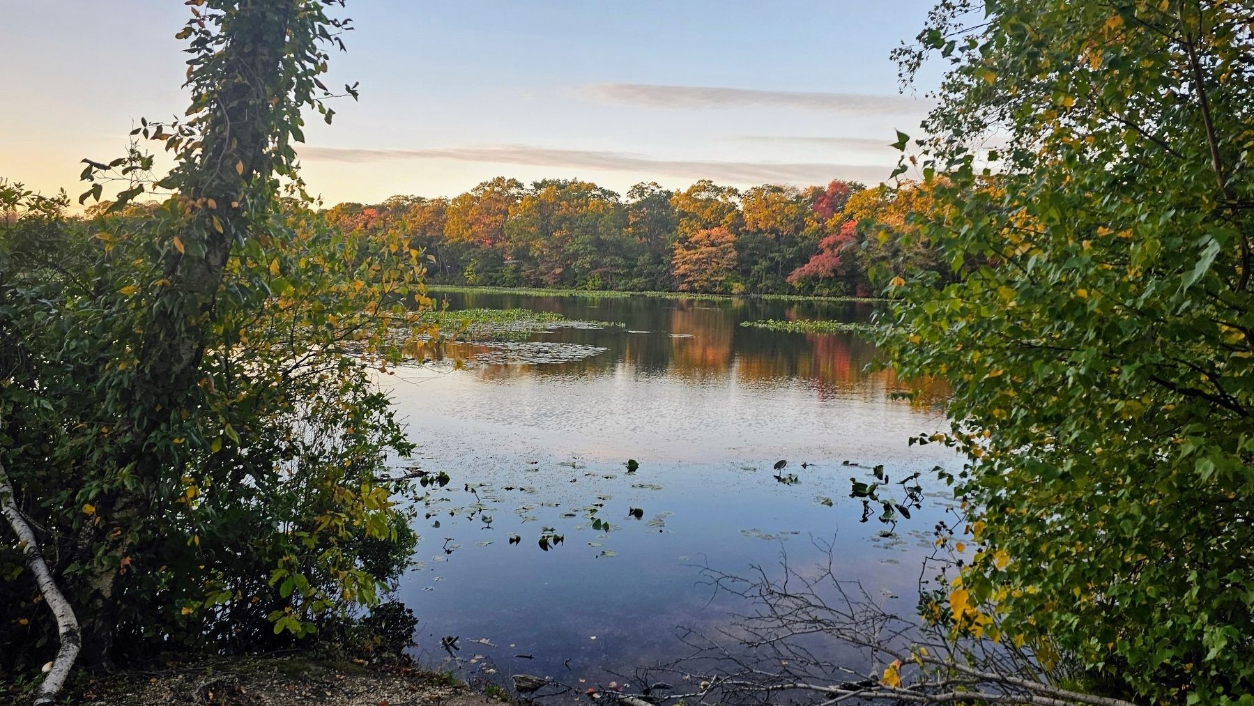 Smith Pond image. Click for full size.