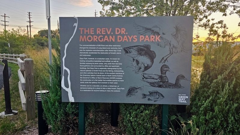 The Rev. Dr. Morgan Days Park Marker. Click for full size. The Rev. Dr. Morgan Days Park Marker image. Click for full size.