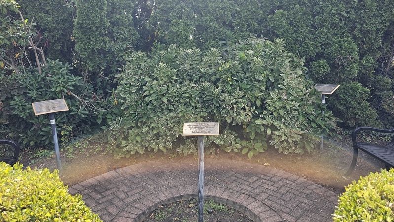 Manhasset School District 9/11 Memorial Garden Marker image. Click for full size.