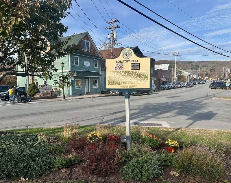 Borscht Belt - Livingston Manor Marker - wide view, looking east on Main Street image. Click for full size.