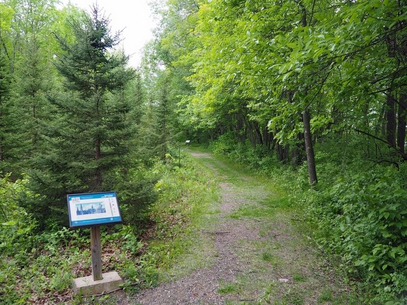 Spruce Forest Marker on the Kathio Landmark Trail. Click for full size. Spruce Forest Marker on the Kathio Landmark Trail image. Click for full size.