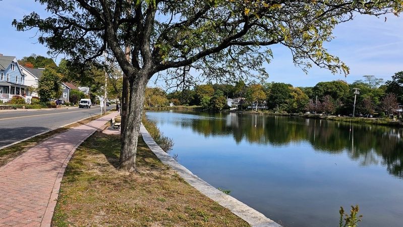 Mill Pond image. Click for full size.