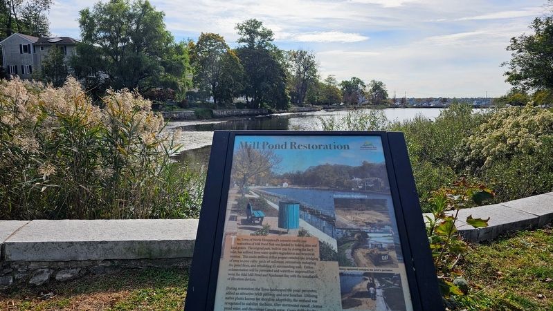 Mill Pond Restoration Marker image. Click for full size.