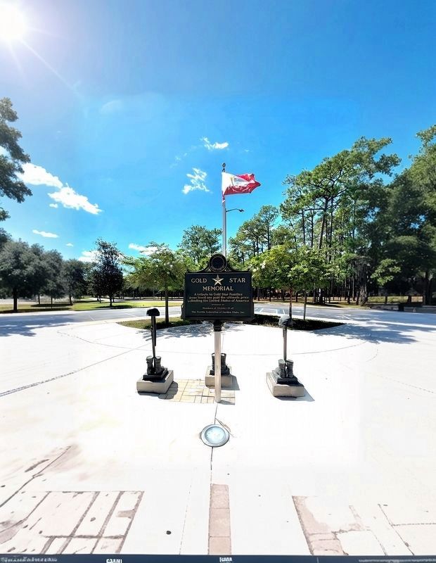 Gold Star Memorial image. Click for full size.