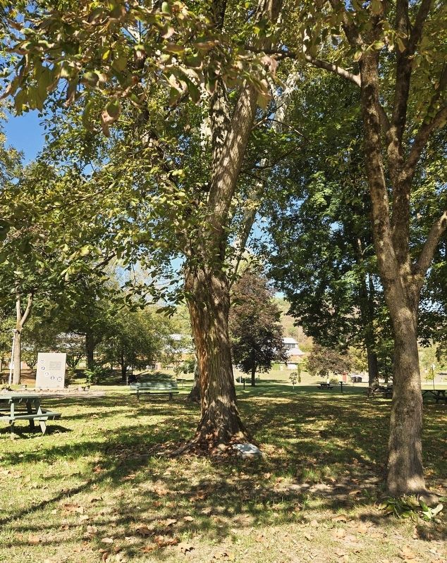 Liberty Tree Memorial image. Click for full size.