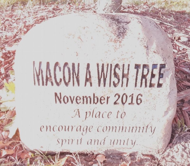 Macon A Wish Tree Marker image. Click for full size.