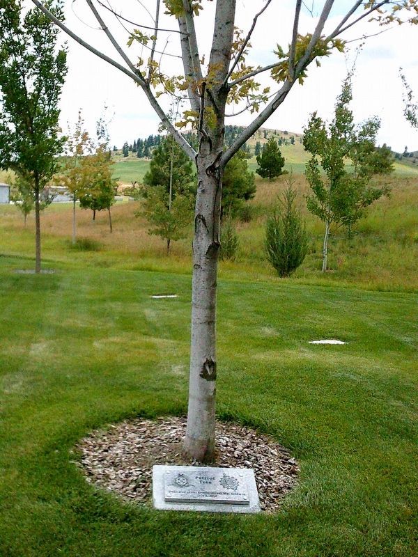 Patriot Tree Dedication to Washington State Veterans Cemetery Marker. Click for full size. Patriot Tree Dedication to Washington State Veterans Cemetery Marker image. Click for full size.