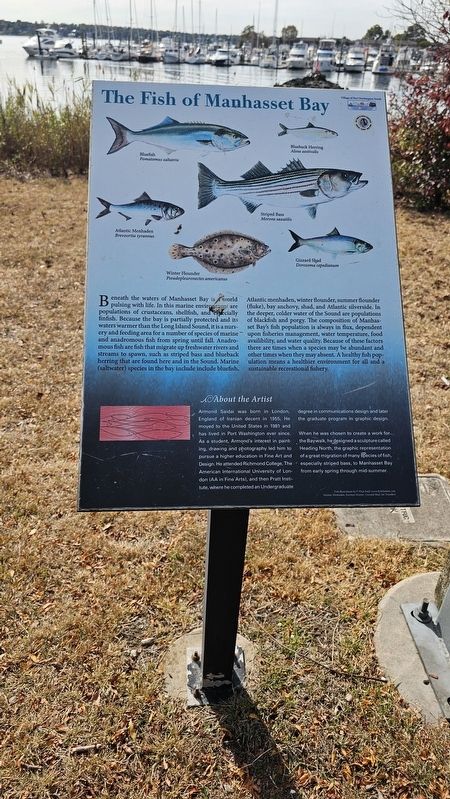 The Fish of Manhasset Bay Marker image. Click for full size.