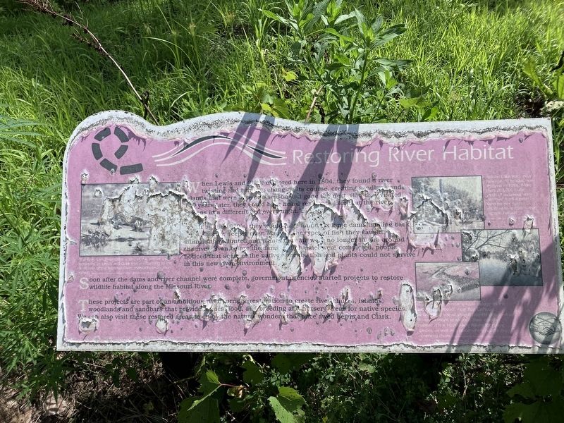Restoring River Habitat Marker. Click for full size. Restoring River Habitat Marker image. Click for full size.