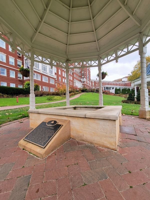 Hot Sulphur Spring Marker. Click for full size. Hot Sulphur Spring Marker image. Click for full size.