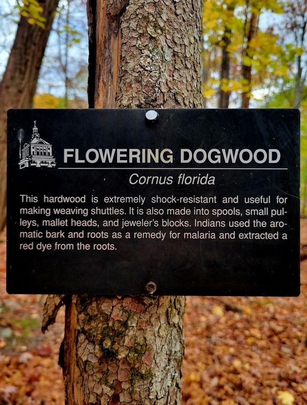 Flowering Dogwood Marker. Click for full size. Flowering Dogwood Marker image. Click for full size.