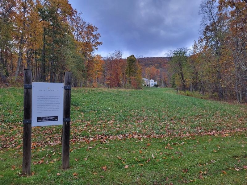 Delafield Rise. Click for full size. Delafield Rise image. Click for full size.