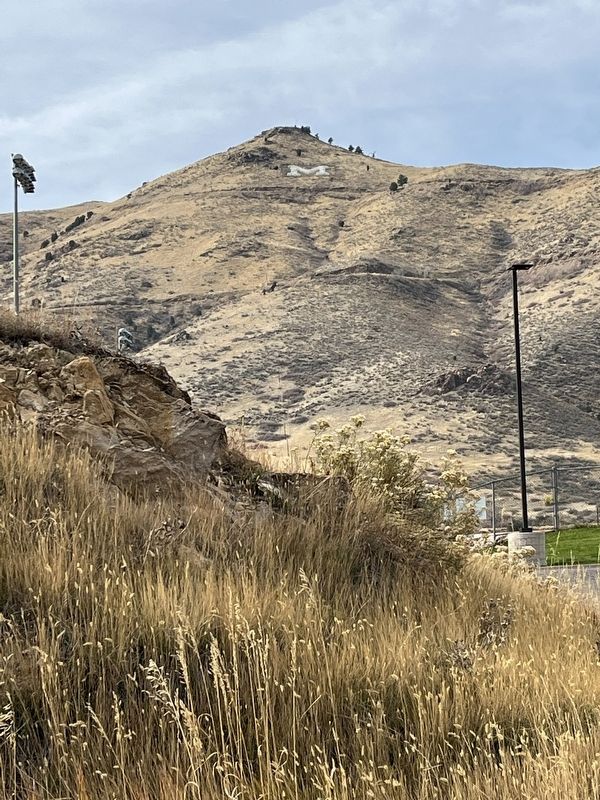 The M on Mount Zion. Click for full size. The M on Mount Zion image. Click for full size.