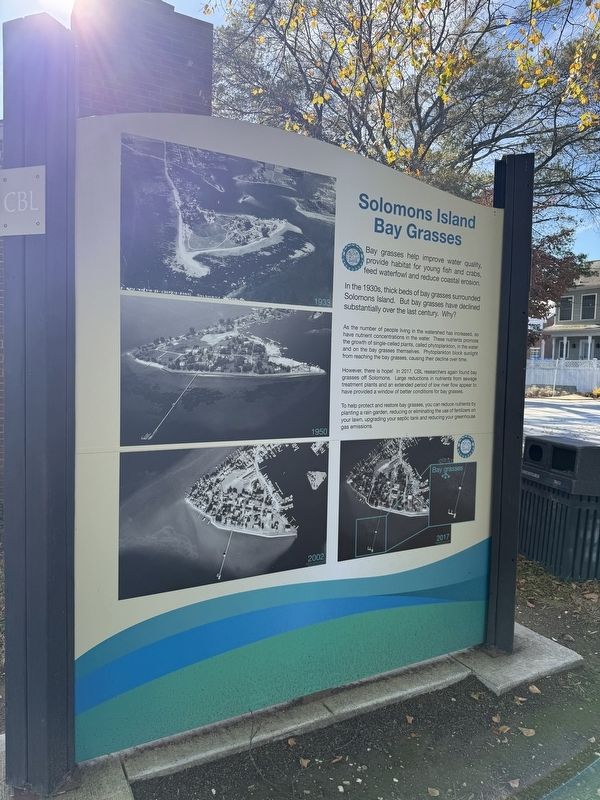 Solomons Island Bay Grasses Marker. Click for full size. Solomons Island Bay Grasses Marker image. Click for full size.