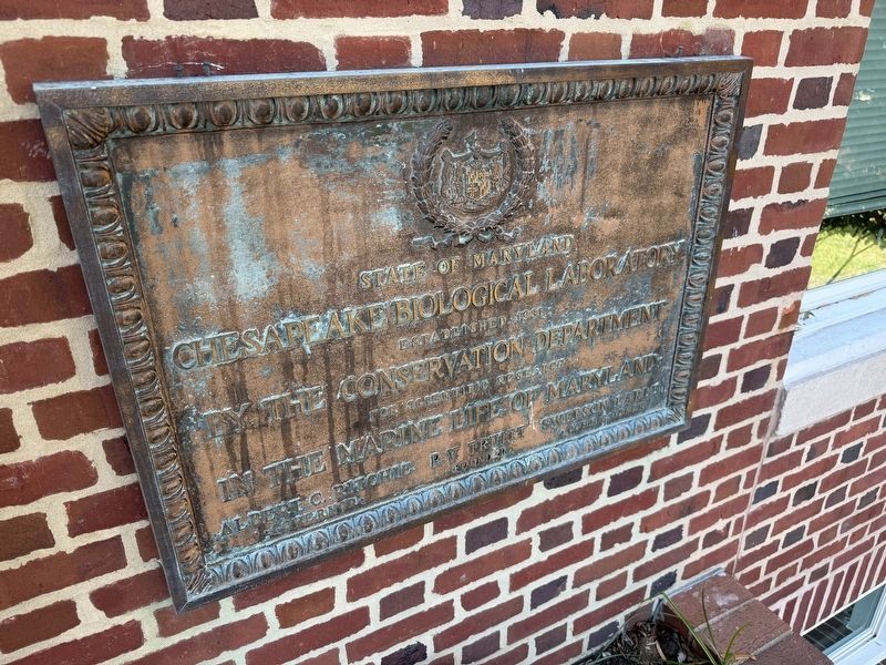 Chesapeake Biological Laboratory Marker. Click for full size. Chesapeake Biological Laboratory Marker image. Click for full size.