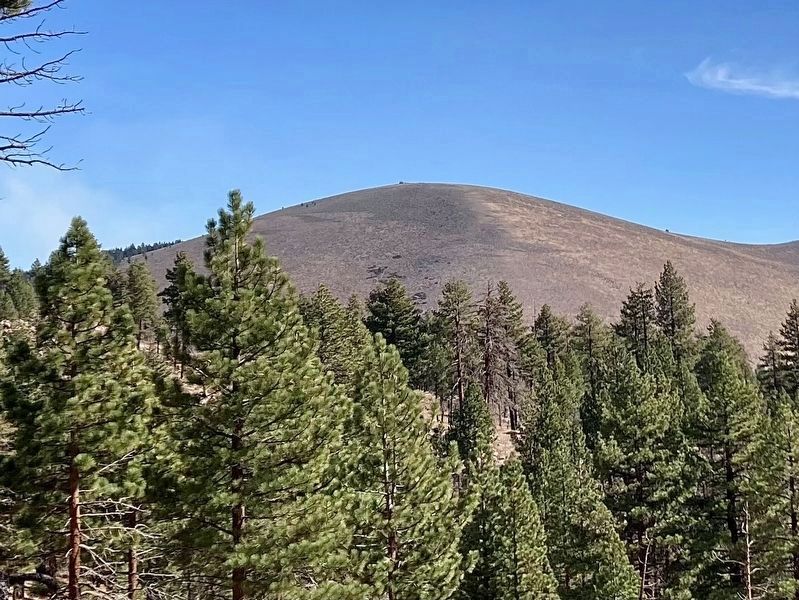 Bald Mountain Lookout image. Click for full size.