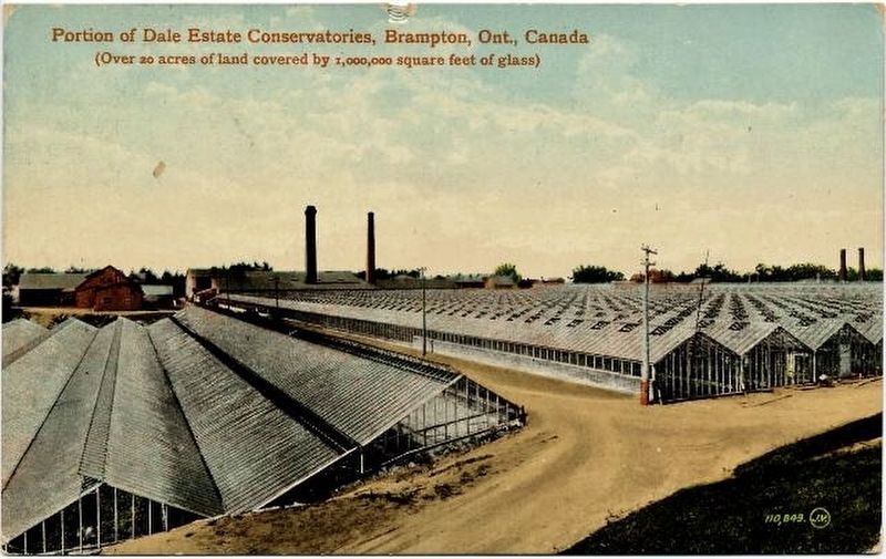 Portion of the Dale Estate greenhouses 1915 image. Click for full size.